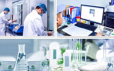 廣東冰冰護(hù)理：醫(yī)療器械制造的卓越品質(zhì)保障